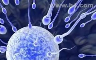 重庆三代试管成功得花多少钱？必看！重庆试管小贴士附上