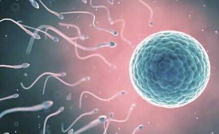 子宫纵隔生育困难可以在滁州市做三代试管吗？子宫有问题做试管的成功率高吗？