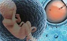 看谁比较贵！美国、泰国和国内第三代试管婴儿技术费用对比