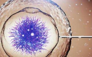 子宫纵隔生育困难可以在湖州市做三代试管吗？子宫有问题做试管的成功率高吗？